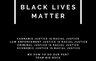 Cannabis Justice is Racial Justice