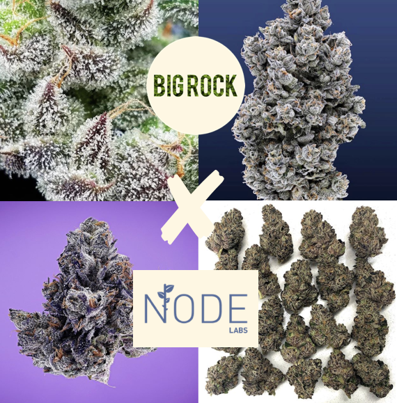 Spotlight – Node Labs on supplying the highest quality true-to-type clones.